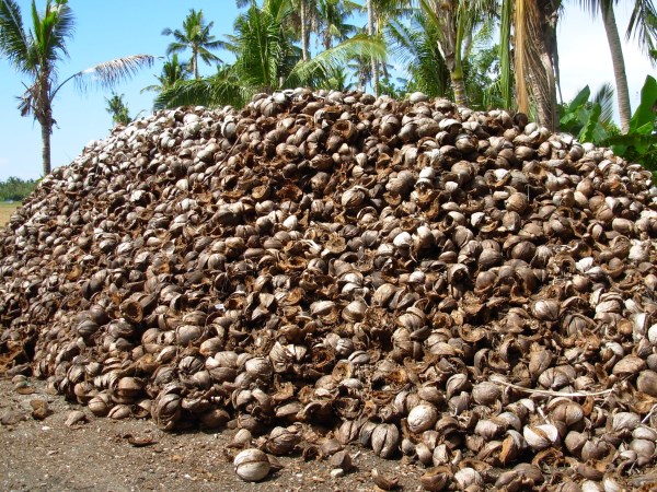 Coconut yarn waste can be obtained using high yield. How?