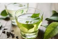 Lifeline: Five reasons why you should start drinking green tea