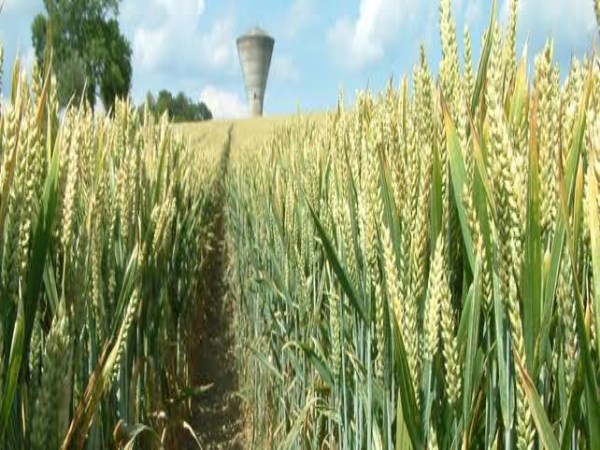 how to protect crops from insects