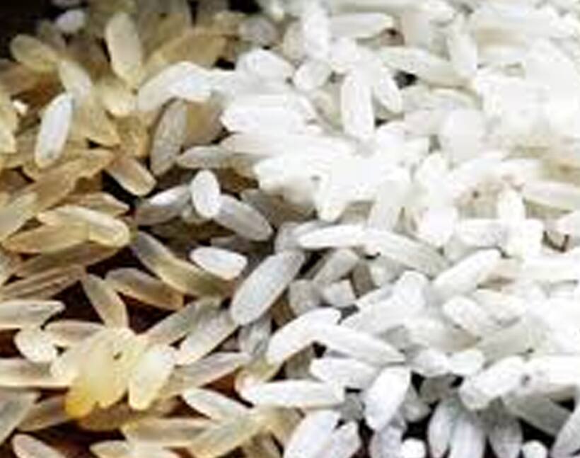 Plastic rice makes its way into CM's pet project 'Anna Bhagya' scheme?