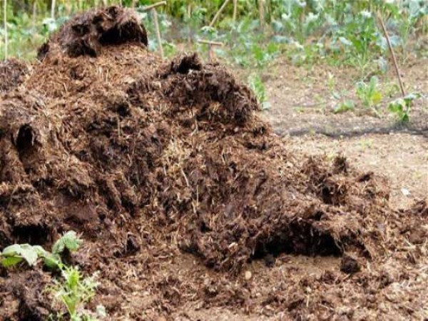 Vermicompost is made to produce vermicompost.