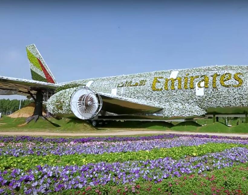 Only in Dubai! Emirates A380 in full bloom at Dubai Miracle Garden