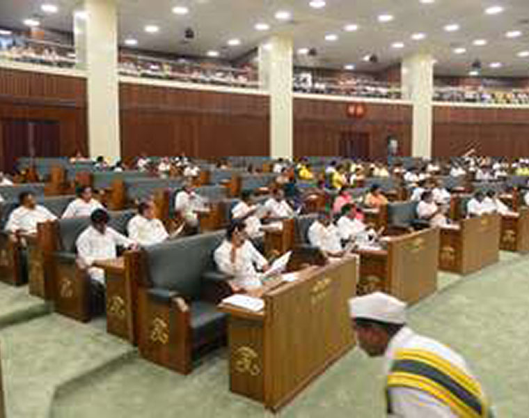 Two TDP Legilslators  Suspended  From AP Assembly lns