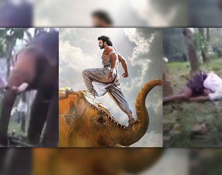 youth Baahubali elephant stunt Facebook Live video