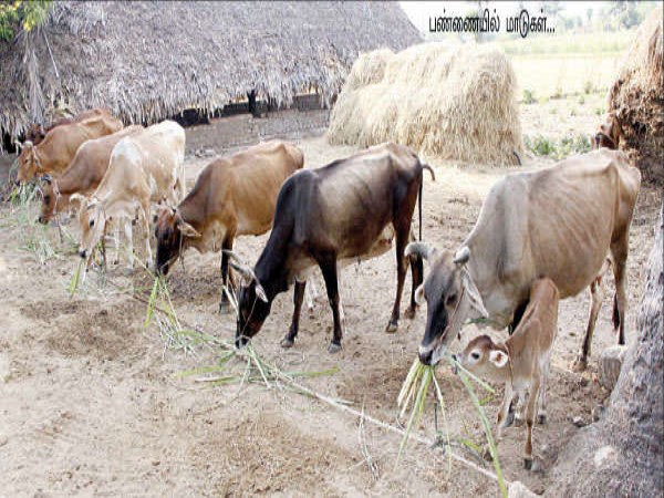 The economic characteristics of the farm that the coworkers should know ...