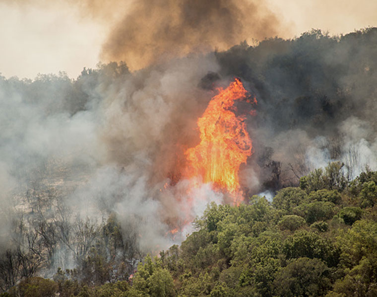 Satellite Will send A message To forest Officials In Case Of Wildfire