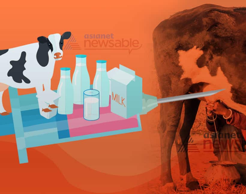 Your milk could be contaminated with Oxytocin, a drug meant for women!