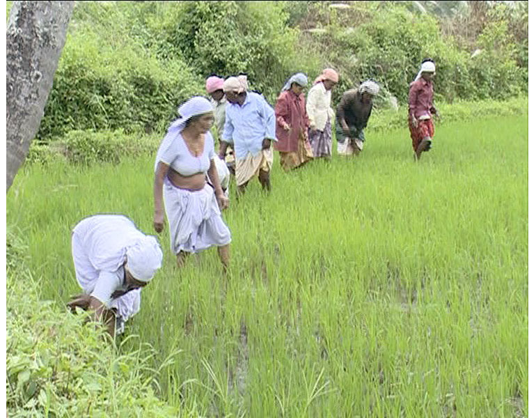 GoodBye2018: Haveri people welcome new year with new hope