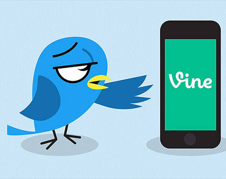 The Inside Story of Vine Demise