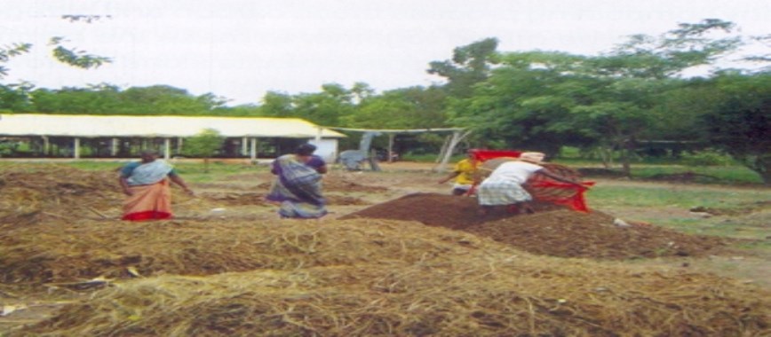 prepared compost-in-two-ways-you-are-going-to-prepare-i