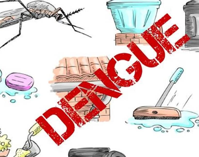 1991 cases of Dengue in 6 months, 30 deaths reported