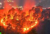 Bandipur disaster authorities declare forest fires national disaster