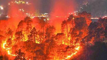 Brazil's Amazon rainforest burns at record rate; Sau Paolo experiences dark afternoon