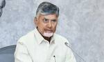 CM Chandrababu orders compensation for farmers by tomorrow in telugu rma
