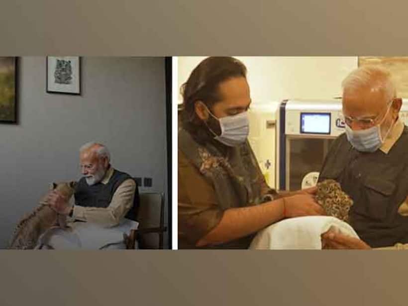 PM Modi inaugurates Vantara in Jamnagar, showcases commitment to wildlife conservation