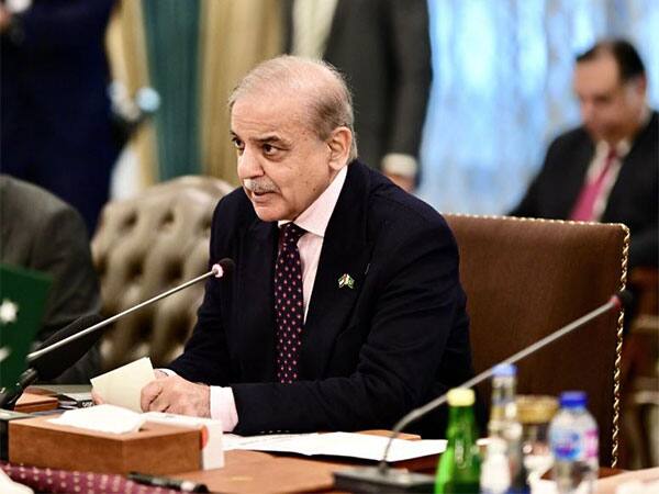 Pakistan PM Shehbaz Sharif (File Photo/@CMShehbaz)