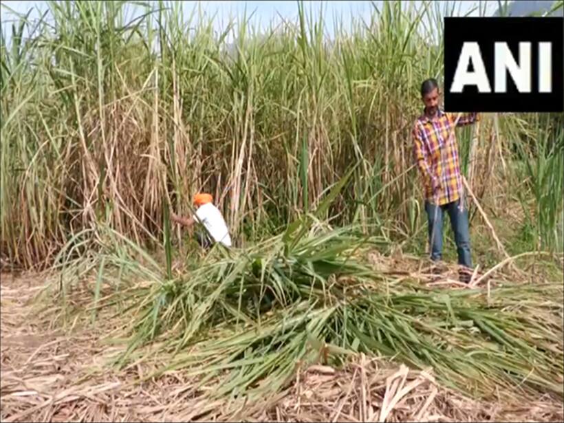 Asianet Image