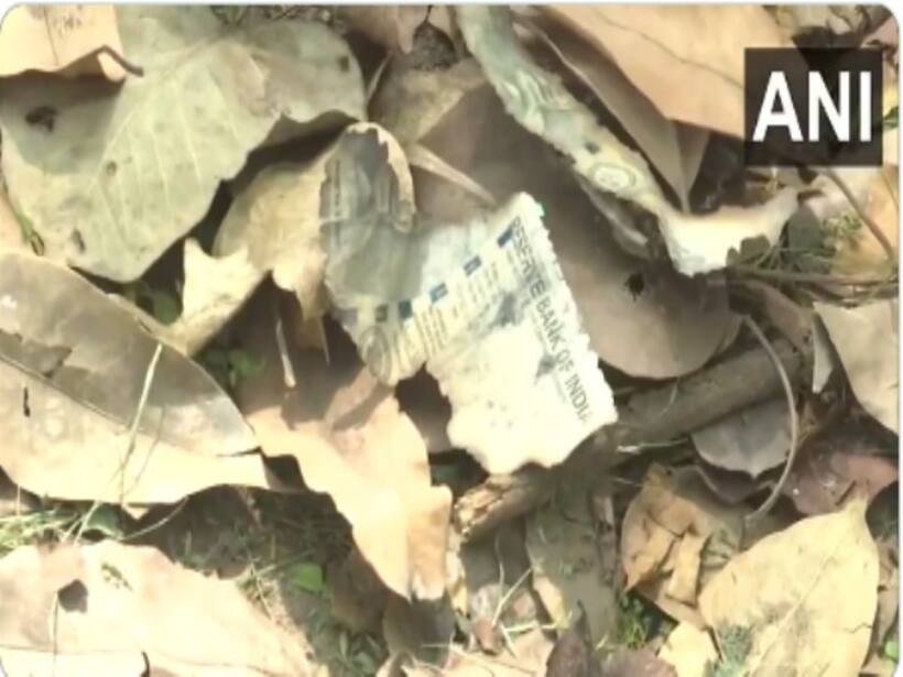 Burnt pieces of Rs 500 currency notes found in garbage near Delhi HC judge Yashwant Varma's house (WATCH)