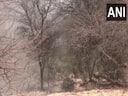 Suspicious object diffused in Jaisalmer amidst Indo-Pak tensions