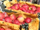 India-Pakistan tensions LIVE updates: India-Pak tensions: 'Ban Turkey' trend gains momentum in Pune as traders boycott Turkish apples
