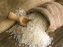 Middle East tensions may hit India's basmati, fertiliser and diamond exports: Report