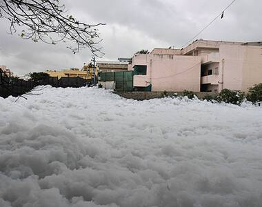 State says not easy to clean Bellandur Lake and gets earful from NGT