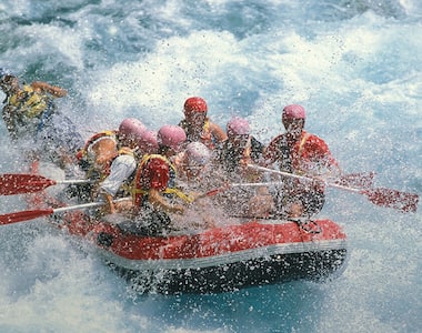 article_image1
