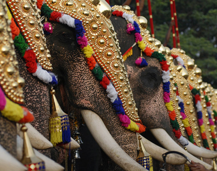 Thrissur Pooram elephants kudamattam