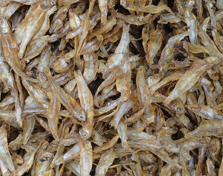 benefits of dry fish