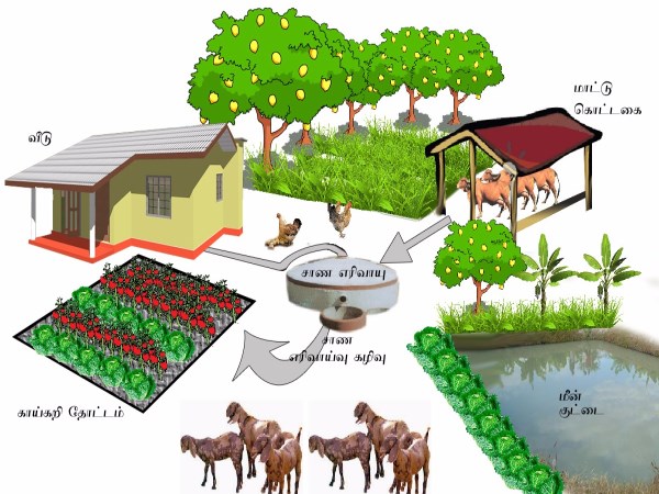 How is integrated farming implemented? Here are the regional wise farming reports ...