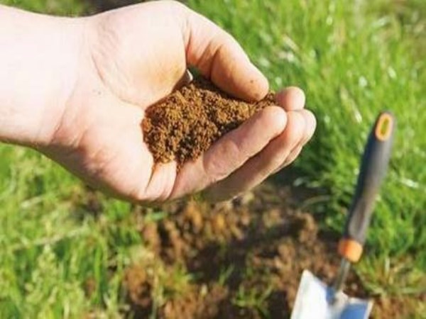 These are the causes of soil testing.