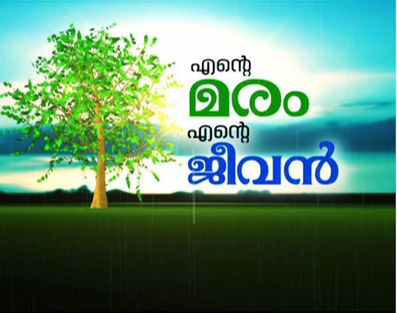 Chipko model tree hugging event in Kerala, all set to create a world record
