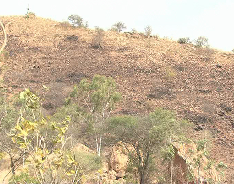 Bandipur forest fire Fire fighters starve with no food and water