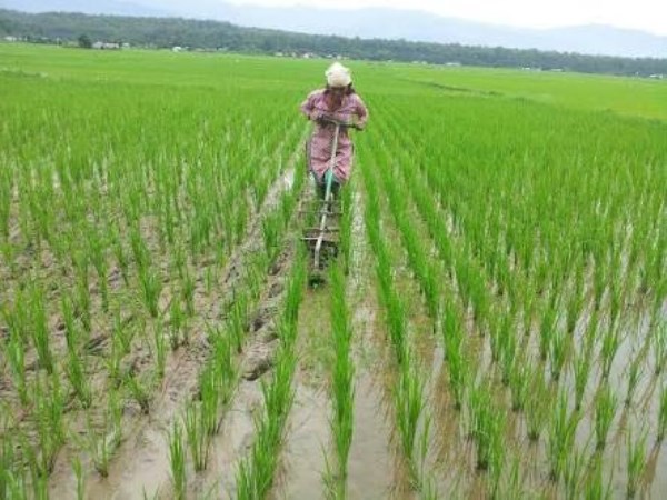 Agriculture in salt water This is a biotechnology system ...