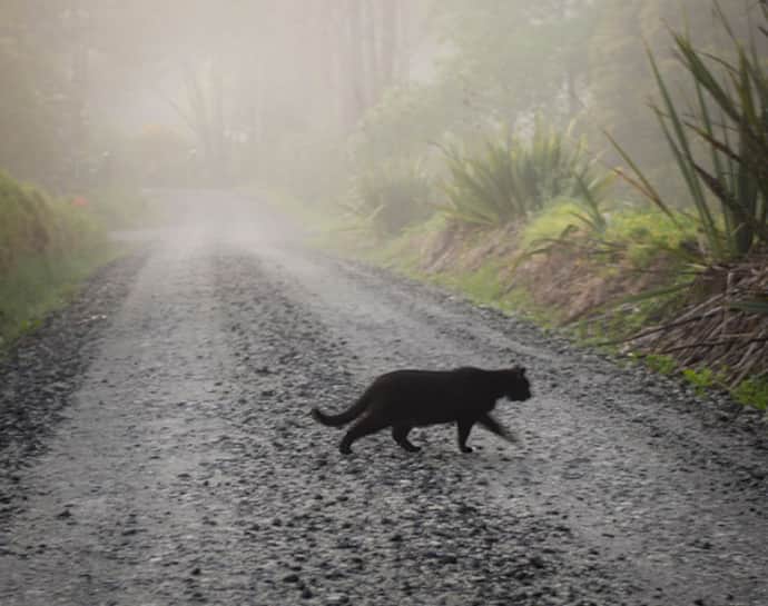 Indian superstitions and the logical explanation behind it