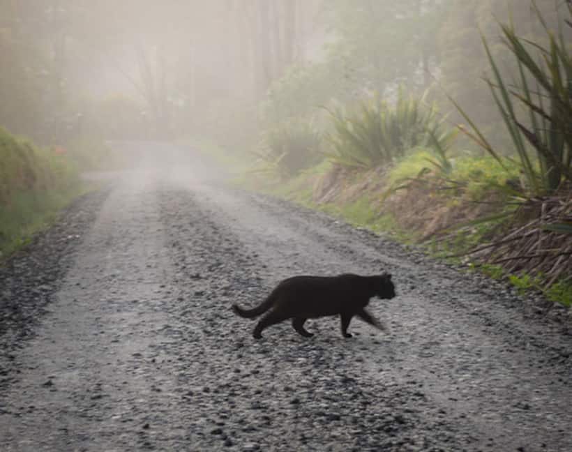 Indian superstitions and the logical explanation behind it