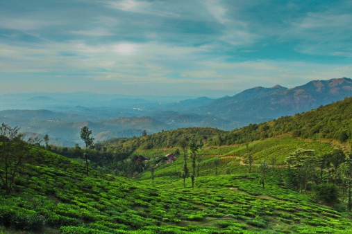 Chembra peak