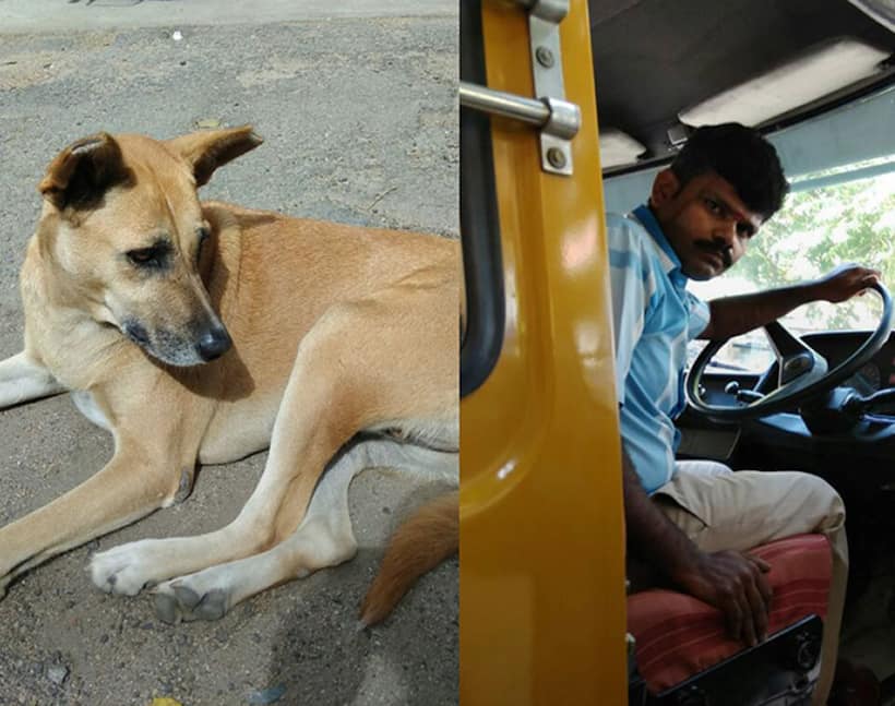 Two Bengaluru girls, cops team up to bring justice to stray dog
