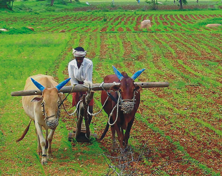 agricultutral policy planned by central government