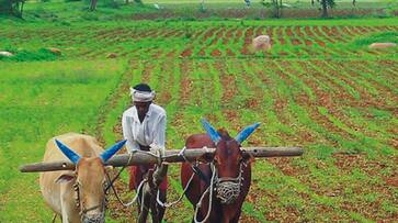 Payments to farmers: Government says Aadhaar not compulsory for first installment