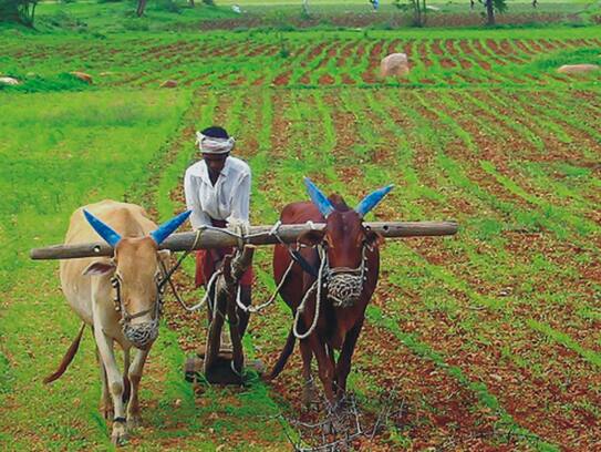 Payments to farmers: Government says Aadhaar not compulsory for first installment