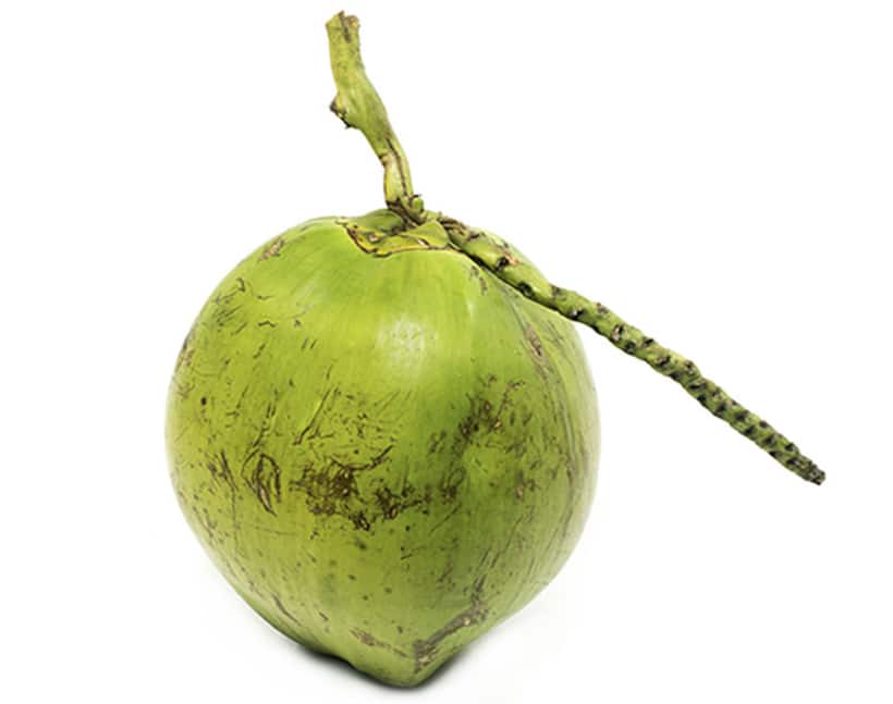 Now, pluck  coconut using smartphone!
