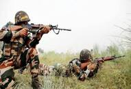 Kashmir Soldier, civilian killed, one terrorist in 3 encounters