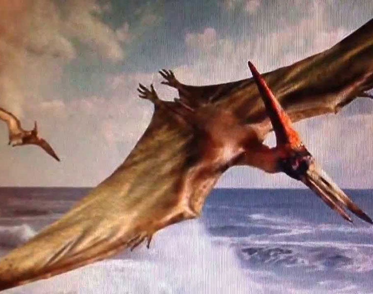 flying dinosaurs fossils found