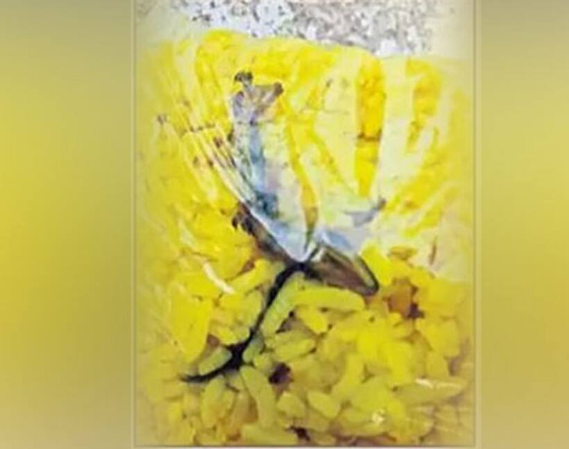 Dead lizard in the prasadam of Palakurthi Someshwara temple