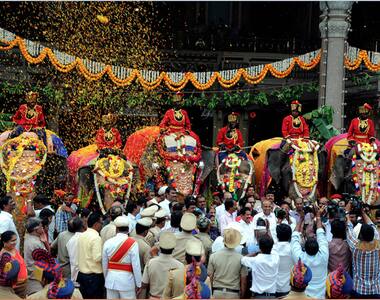Here is all you need to know about the Dasara elephants