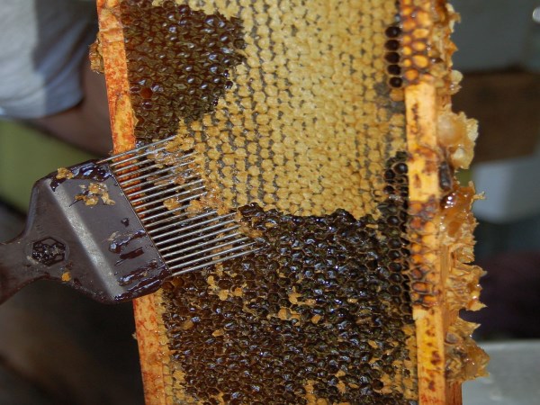 When will the environment for honey produce? How much profit will get ...