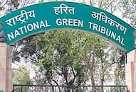 NGT fines Delhi government Rs 50 crore for not taking action against illegal steel pickling units