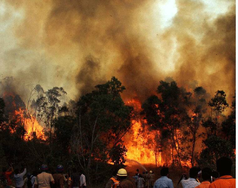 Utharakhand Forest Fire