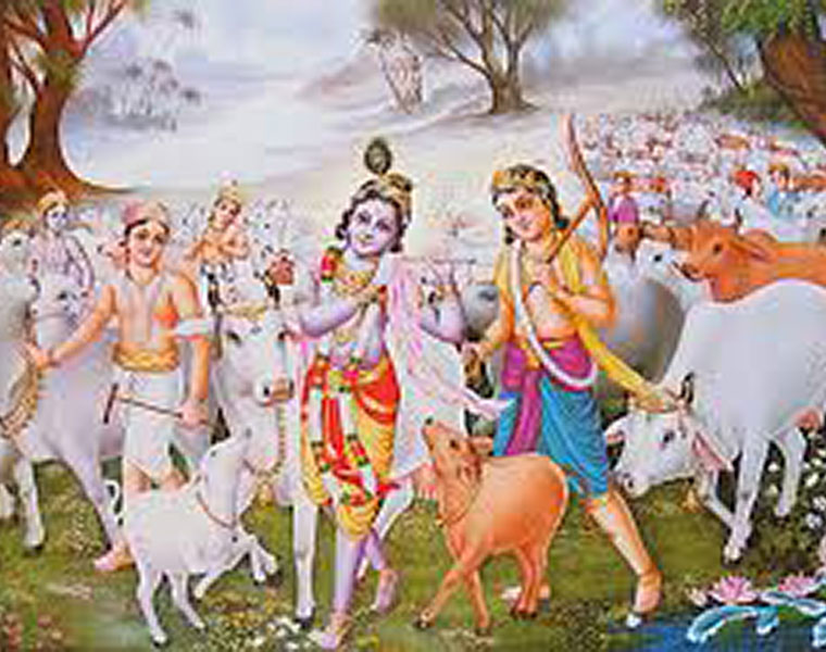 Who are yadavas